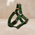 Signature Luxury Velvet Dog Harness