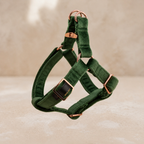 Signature Luxury Velvet Dog Harness