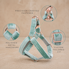 Signature Luxury Velvet Dog Harness