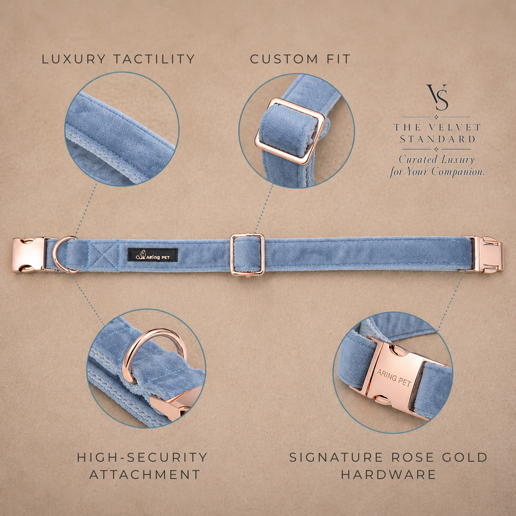 Signature Luxury Velvet Collar & Leash Set