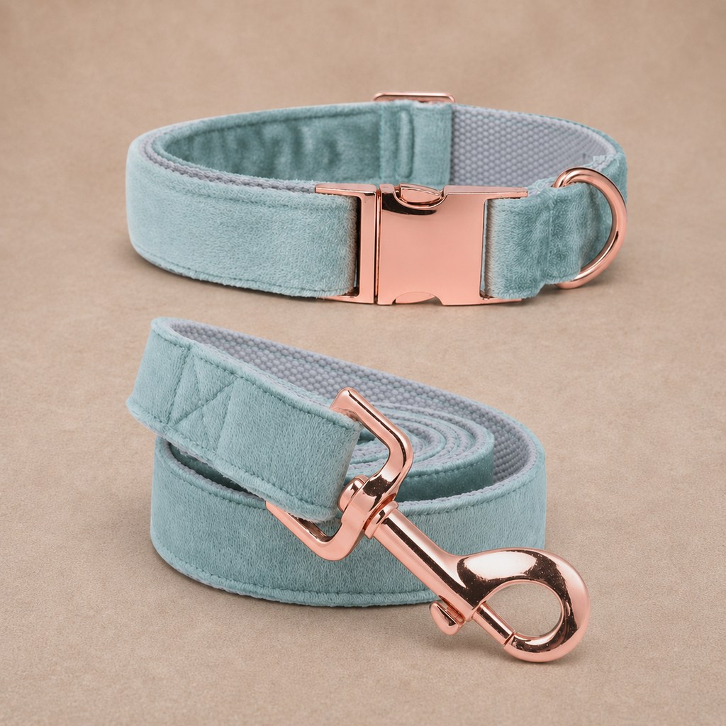 Signature Luxury Velvet Collar & Leash Set