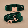 Signature Luxury Velvet Collar & Leash Set